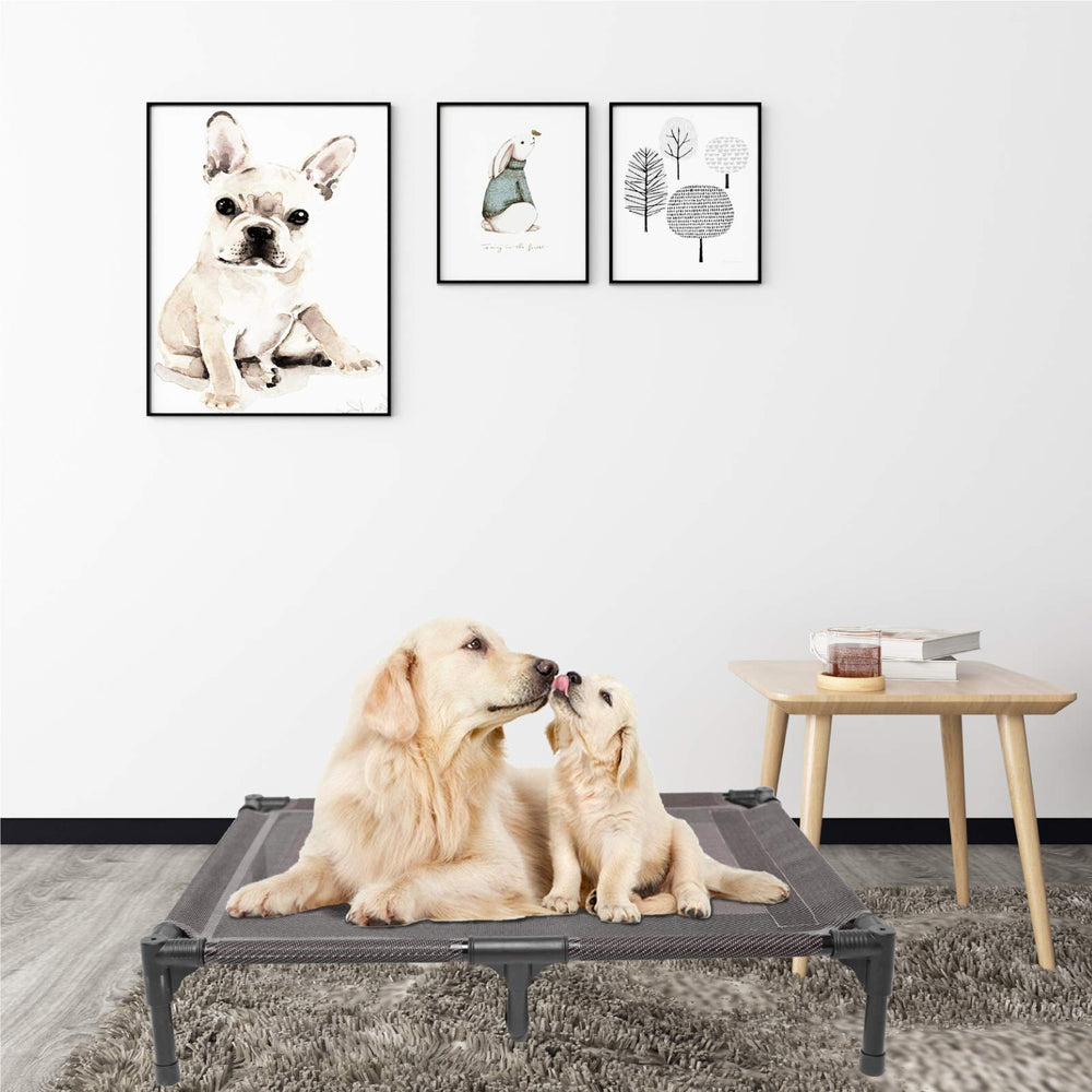 Suddus grey elevated bed blends with home decor
