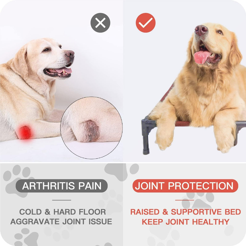 Suddus elevated dog bed portable setup ideal for on-the-go use