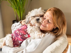 Suitical dog recovery suit cone-alternative design reduces licking and scratches