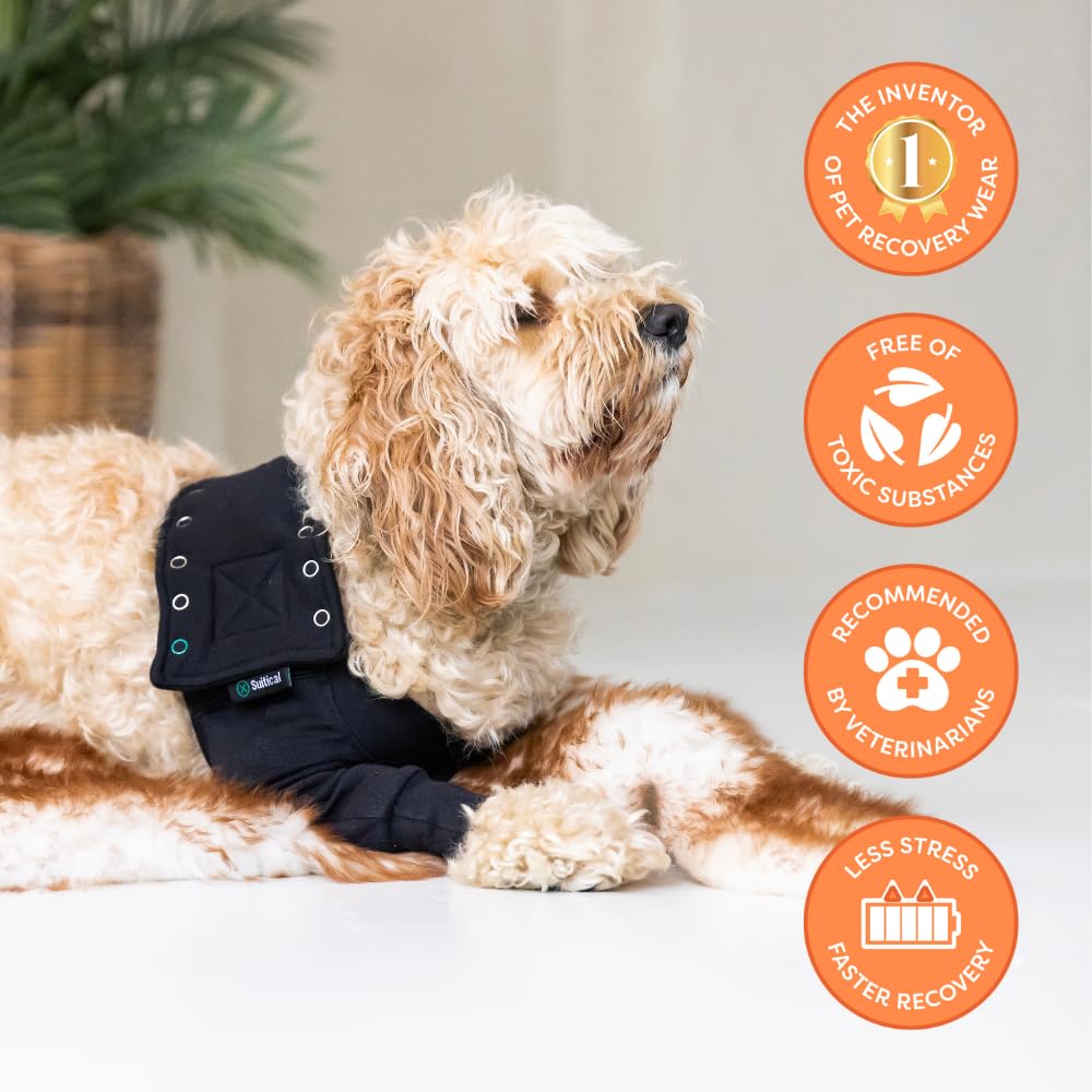 Suitical sleeve prevents licking and self-trauma during recovery.