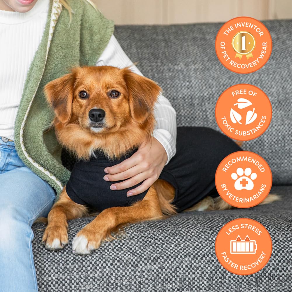 Suitical Recovery Suit black XXL shown for larger dogs