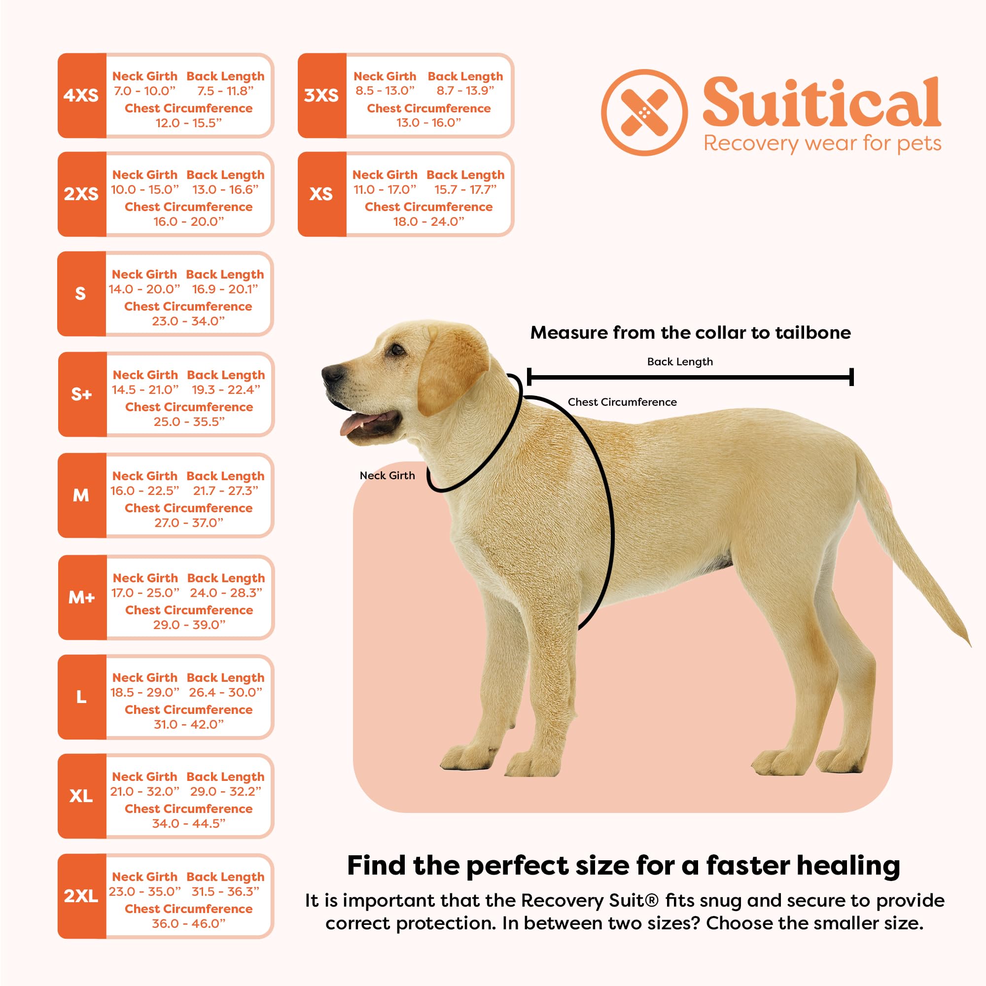Suitical recovery suit reduces scratching and licking during recovery