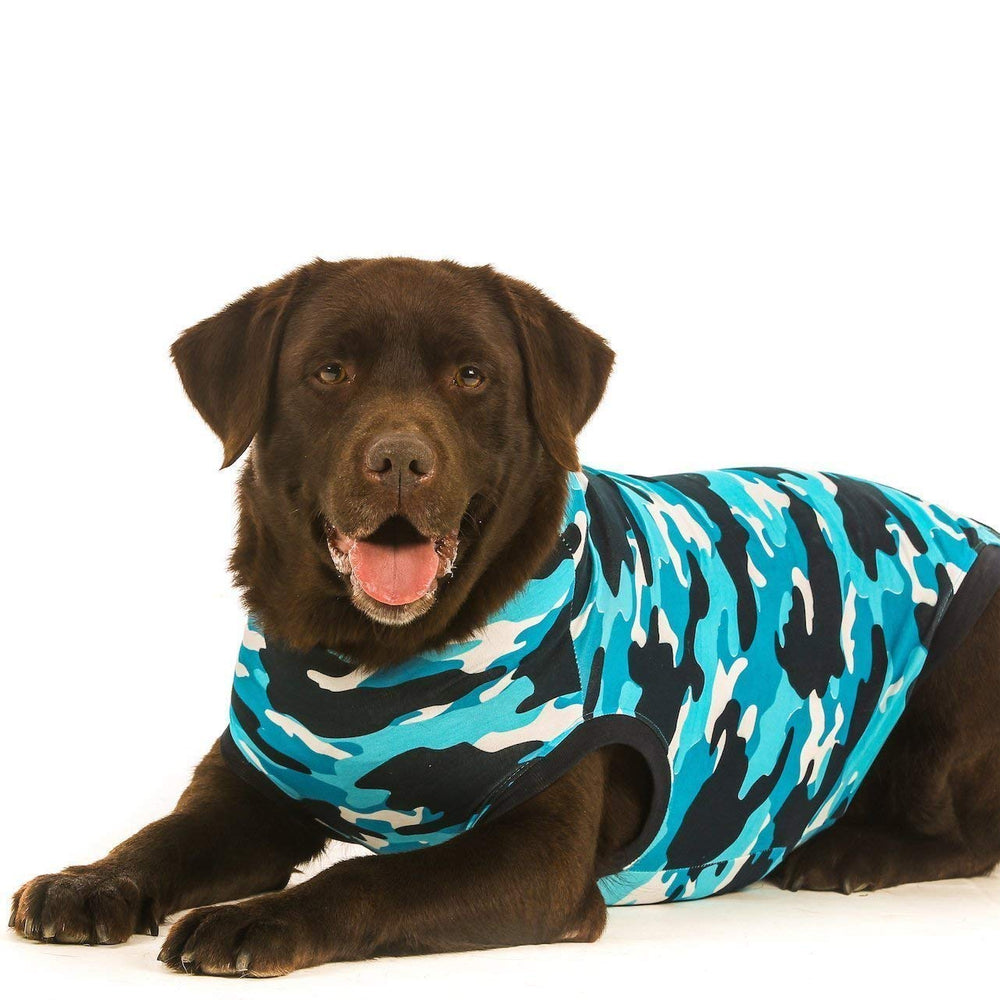Dog wearing Suitical Recovery Suit showing neck-to-tail full-body coverage