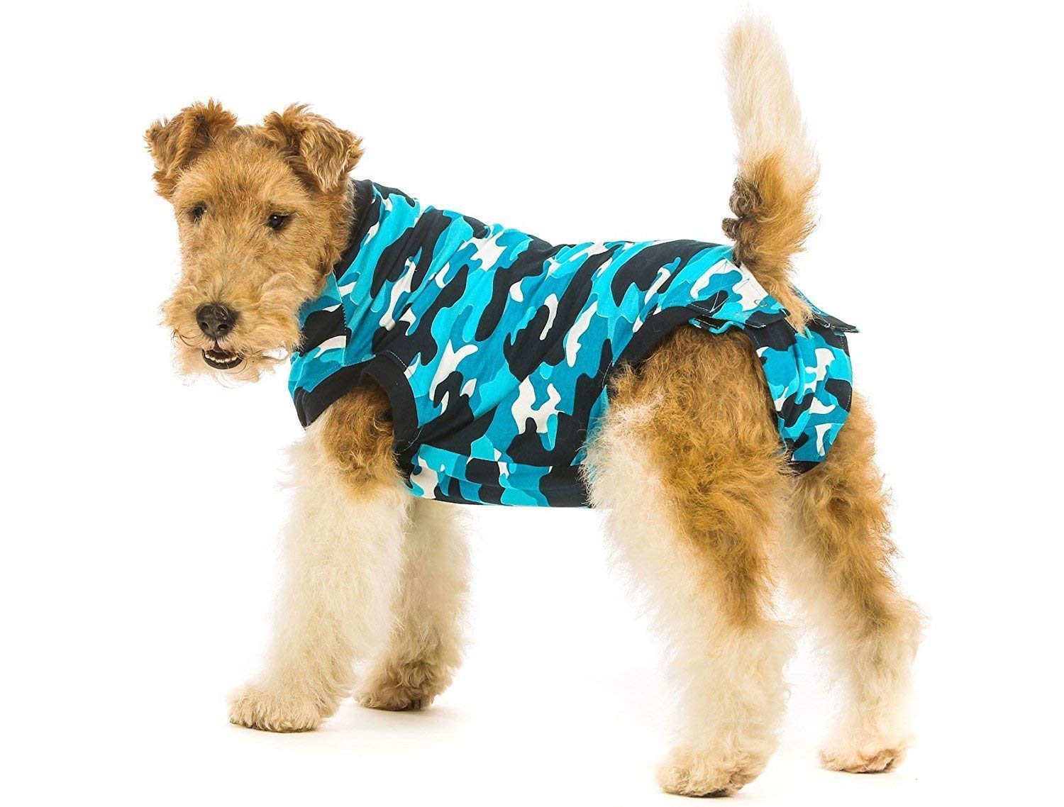 Suitical Recovery Suit snaps near the tail enable easy dog walking without removal.