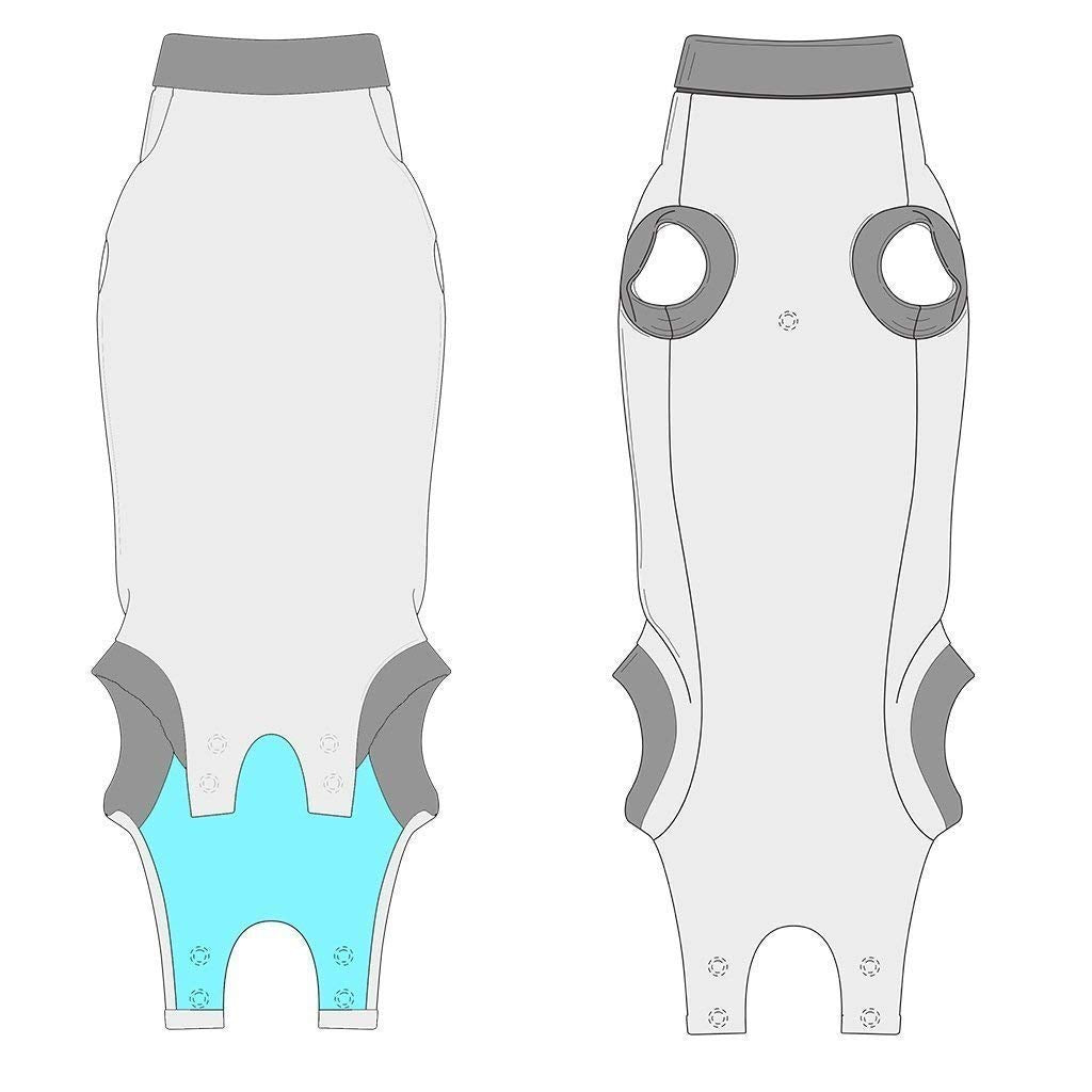 Dog walking outdoors in Suitical Recovery Suit protects wounds during activity.
