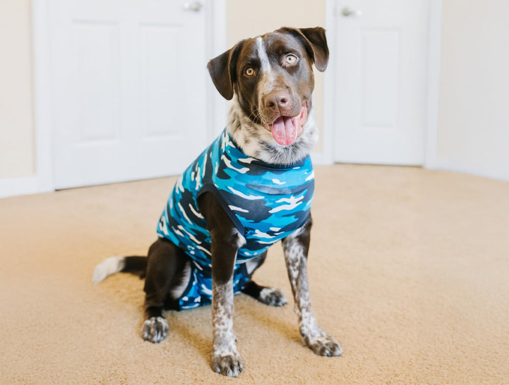 Suitical Recovery Suit on dog demonstrates post surgery protection and comfort