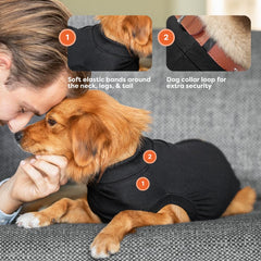 Suitical Recovery Suit on a dog during a clip-up walk routine