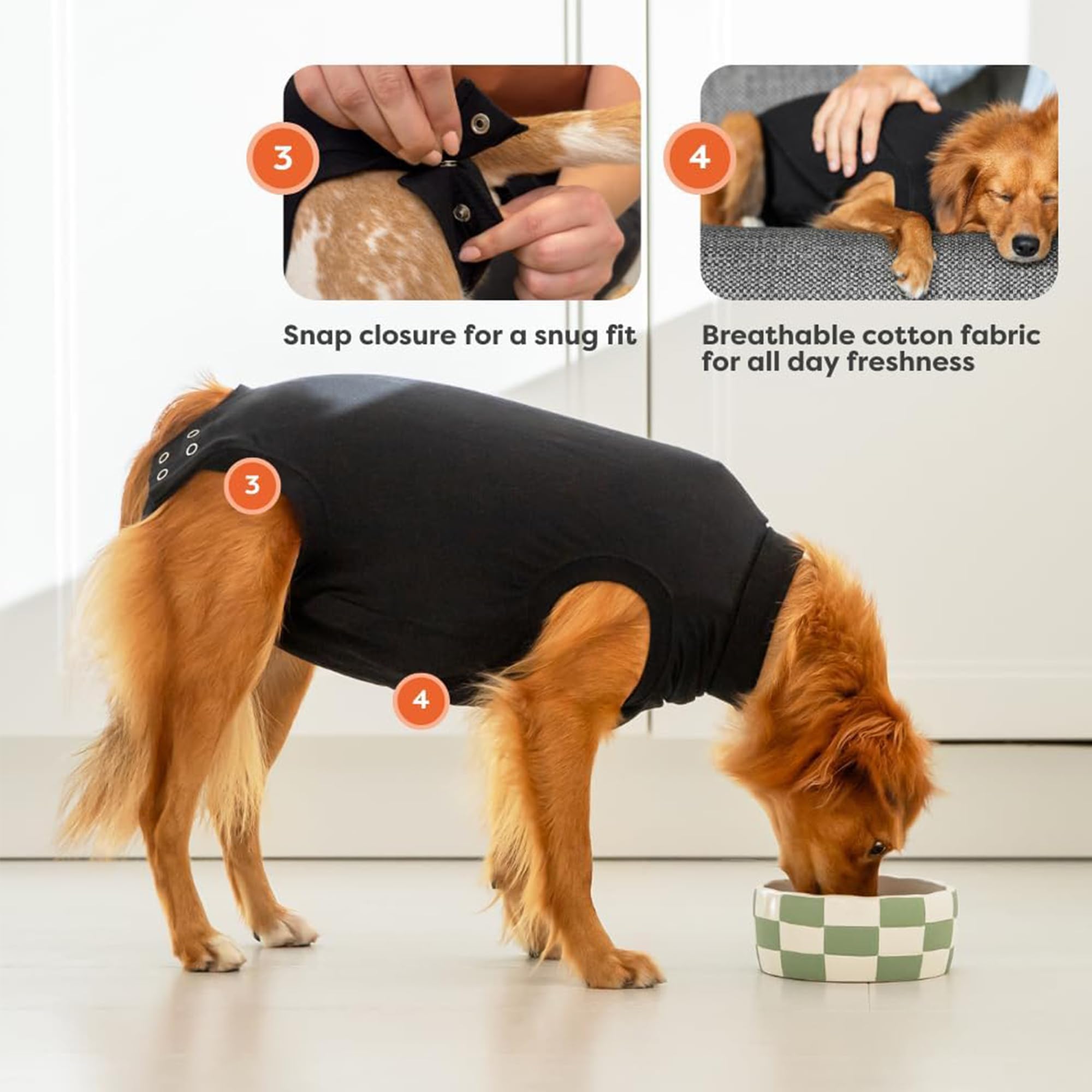 Suitical Recovery Suit for Dogs XL Black shields sutures from dirt and dust.