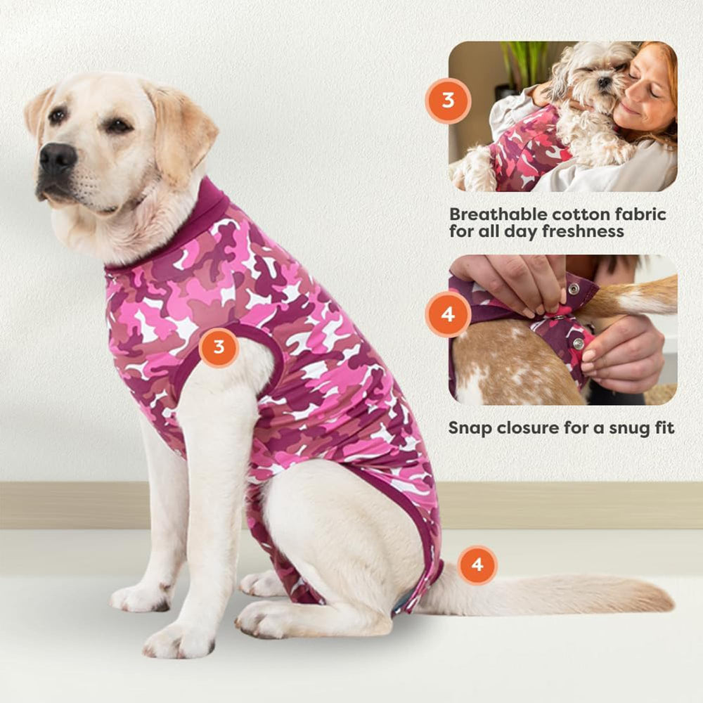Suitical Recovery Suit for Dogs, neck elastic band and leg openings for secure wear