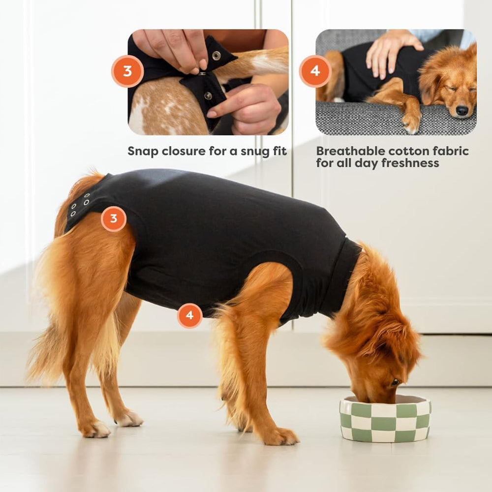 Suitical recovery suit protects sutures from dirt while dog rests