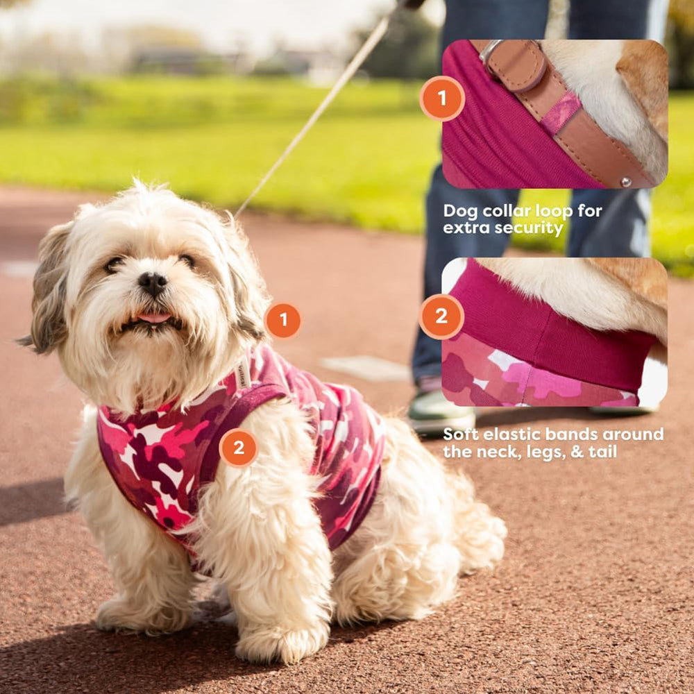 Suitical Recovery Suit showing tail-base snaps for easy leash walks.