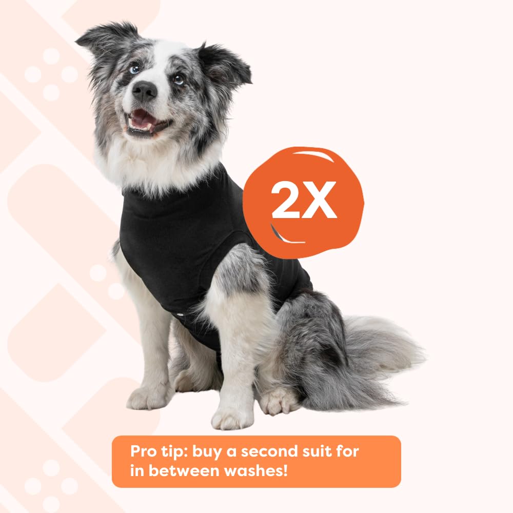Suitical Recovery Suit designed for spay neuter recovery