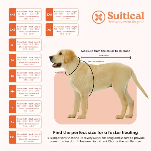 Suitical recovery suit veterinarian-developed design reflects expert input for pet wellness.