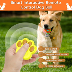 SUJF dog ball auto modes deliver hands-free fun and training opportunities