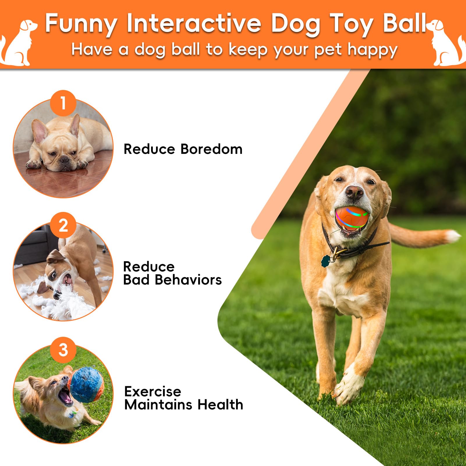 SUJF ball's chew-resistant TPU shell enhances durability during playful sessions.