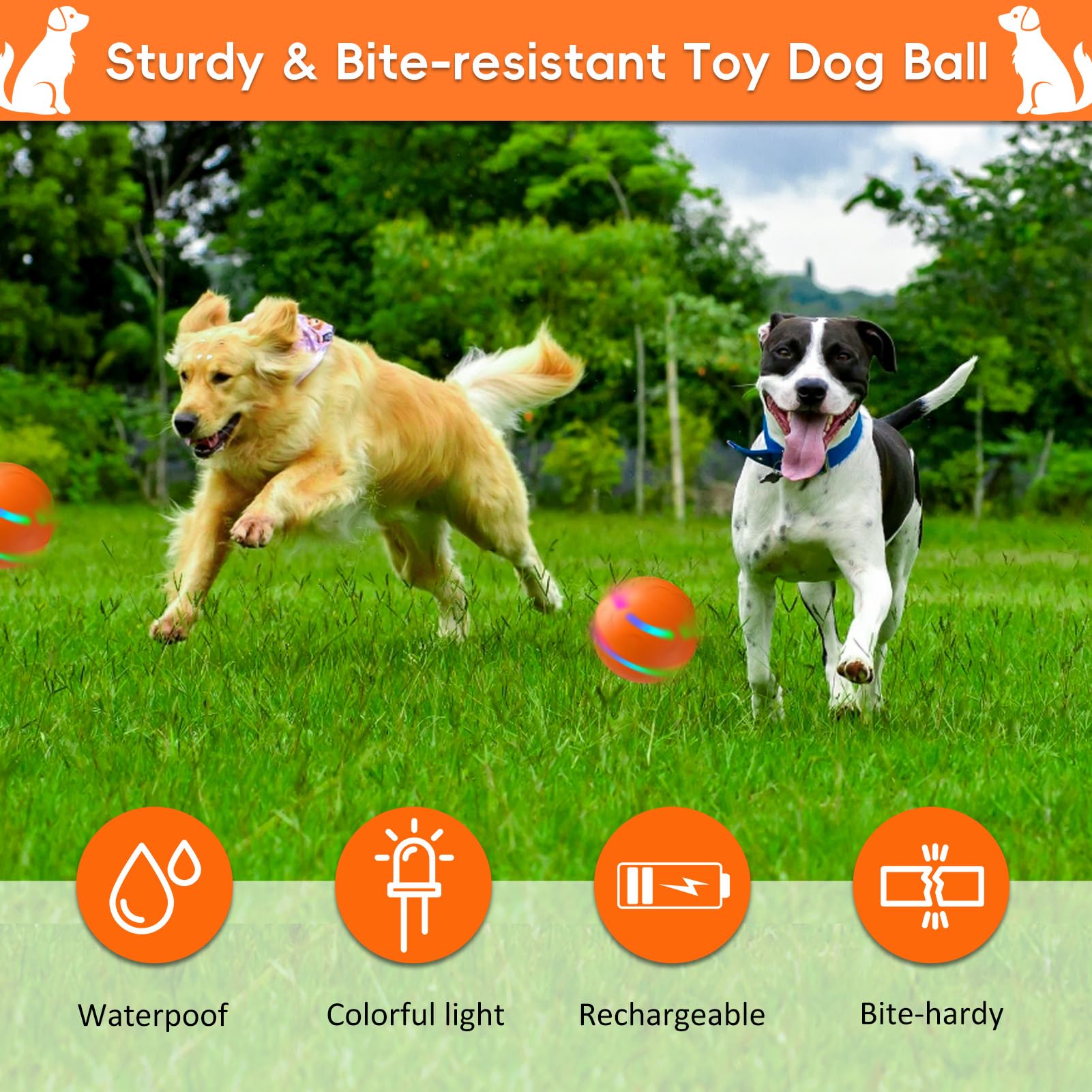 SUJF ball charges via USB, ready for hours of active play.