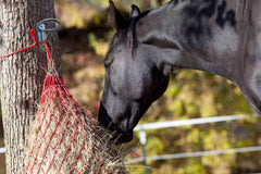 SUKEYME welded hook-ring design close-up, durable joint resists bending in busy barns.