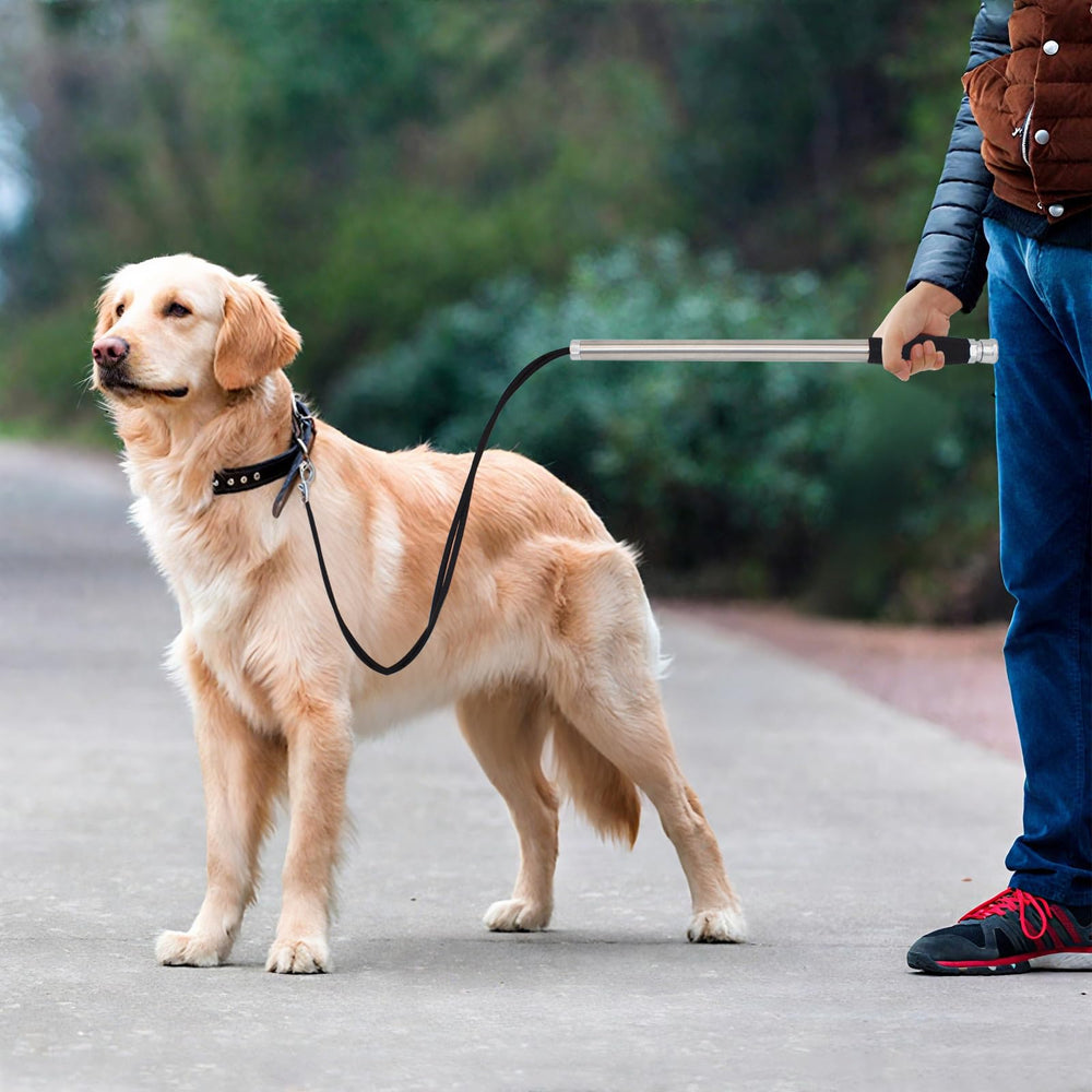Sukubiui detachable leash enables easy storage between adventures.