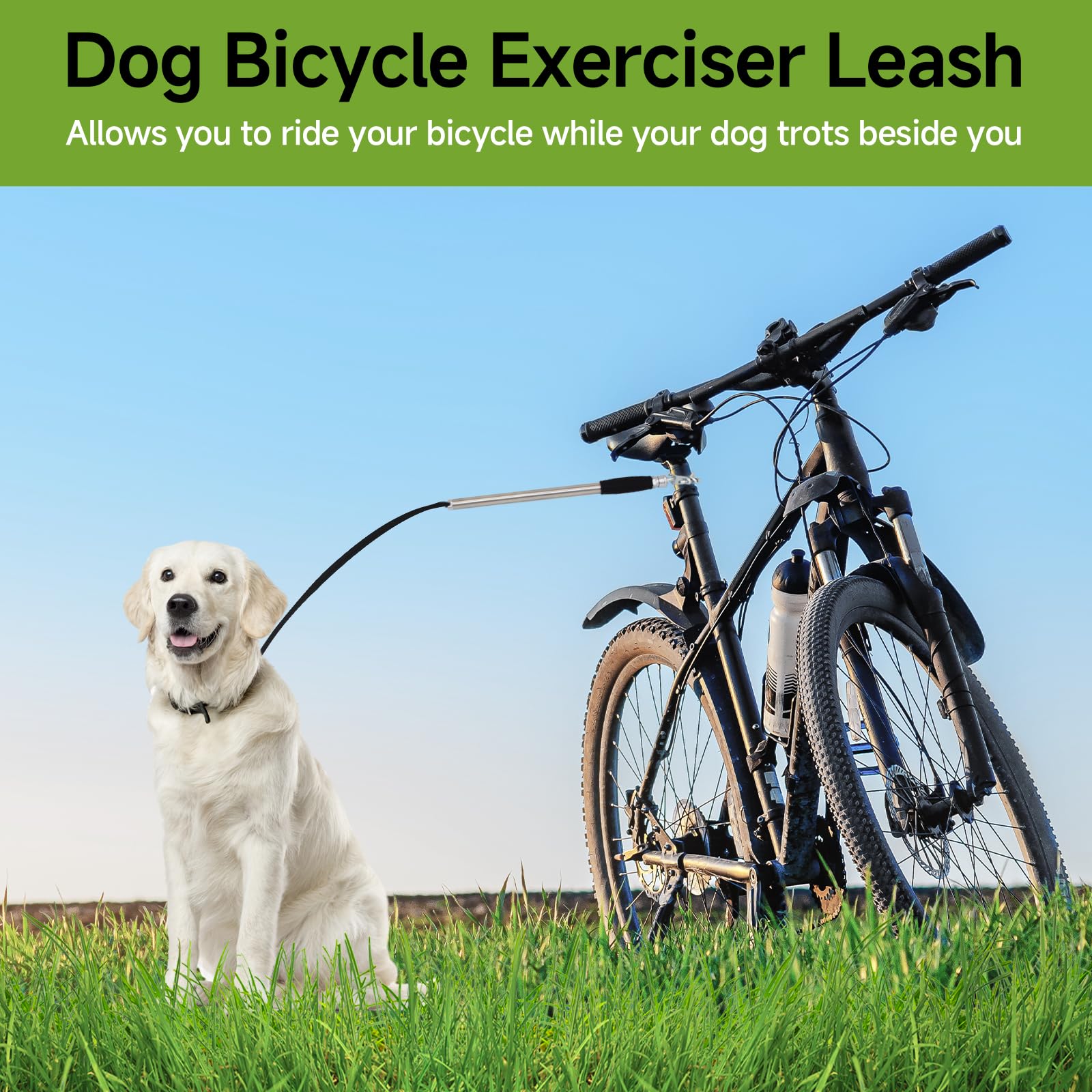 Sukubiui multi-use leash detaches for walking or hiking with your dog.