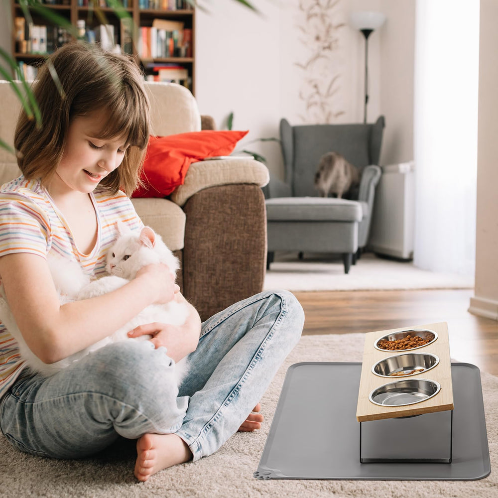 Summark pet mealtime scene shows bowls and mat in use.