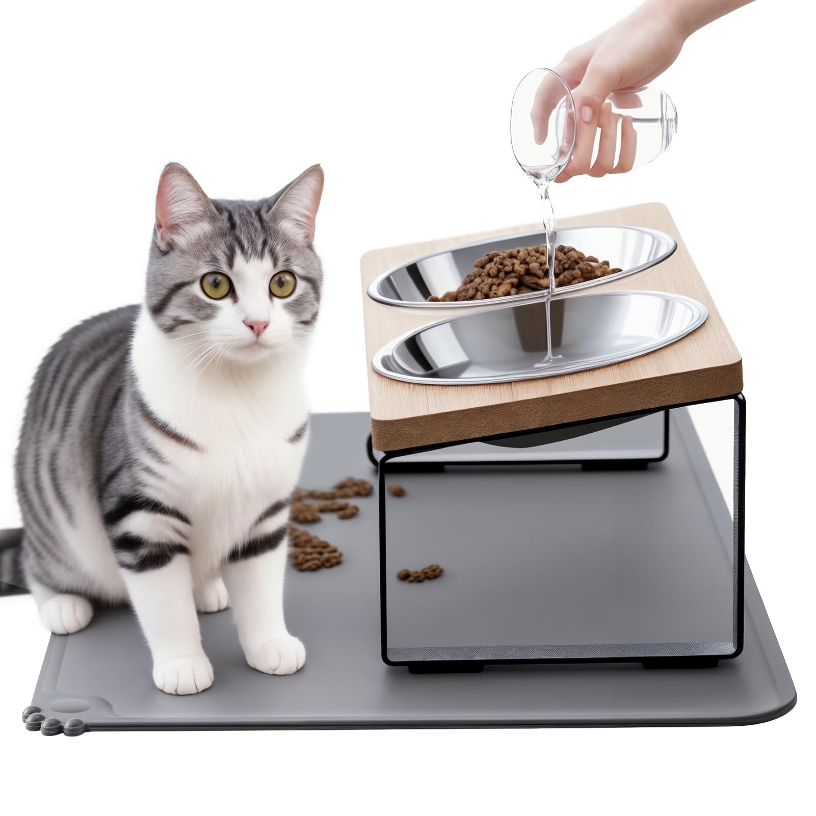 Summark elevated cat bowls on a stand for comfortable dining