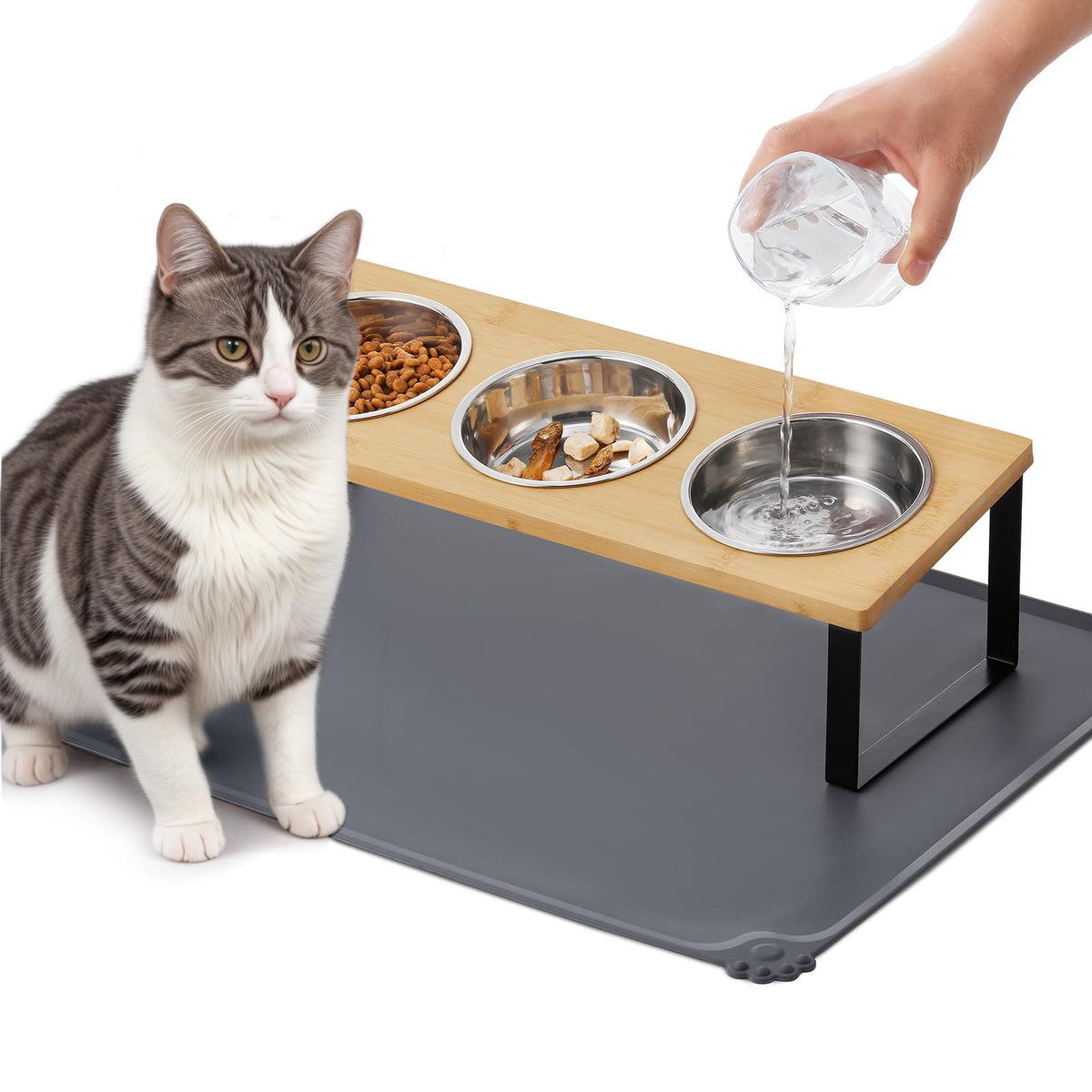 Summark elevated cat bowls on a tilted stand for comfortable feeding.