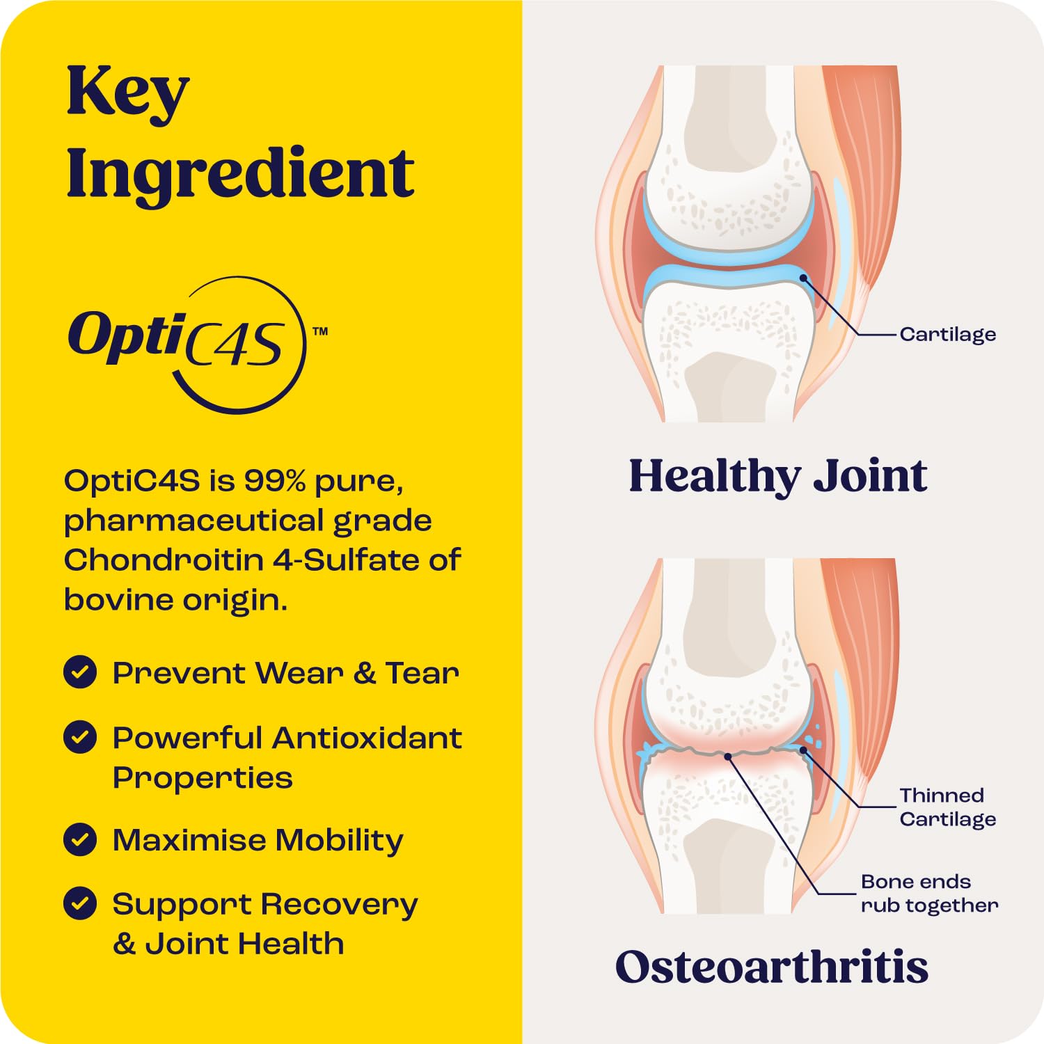 Summit Equine Joint & Mobility Bites packaging hero highlighting liposomal delivery.