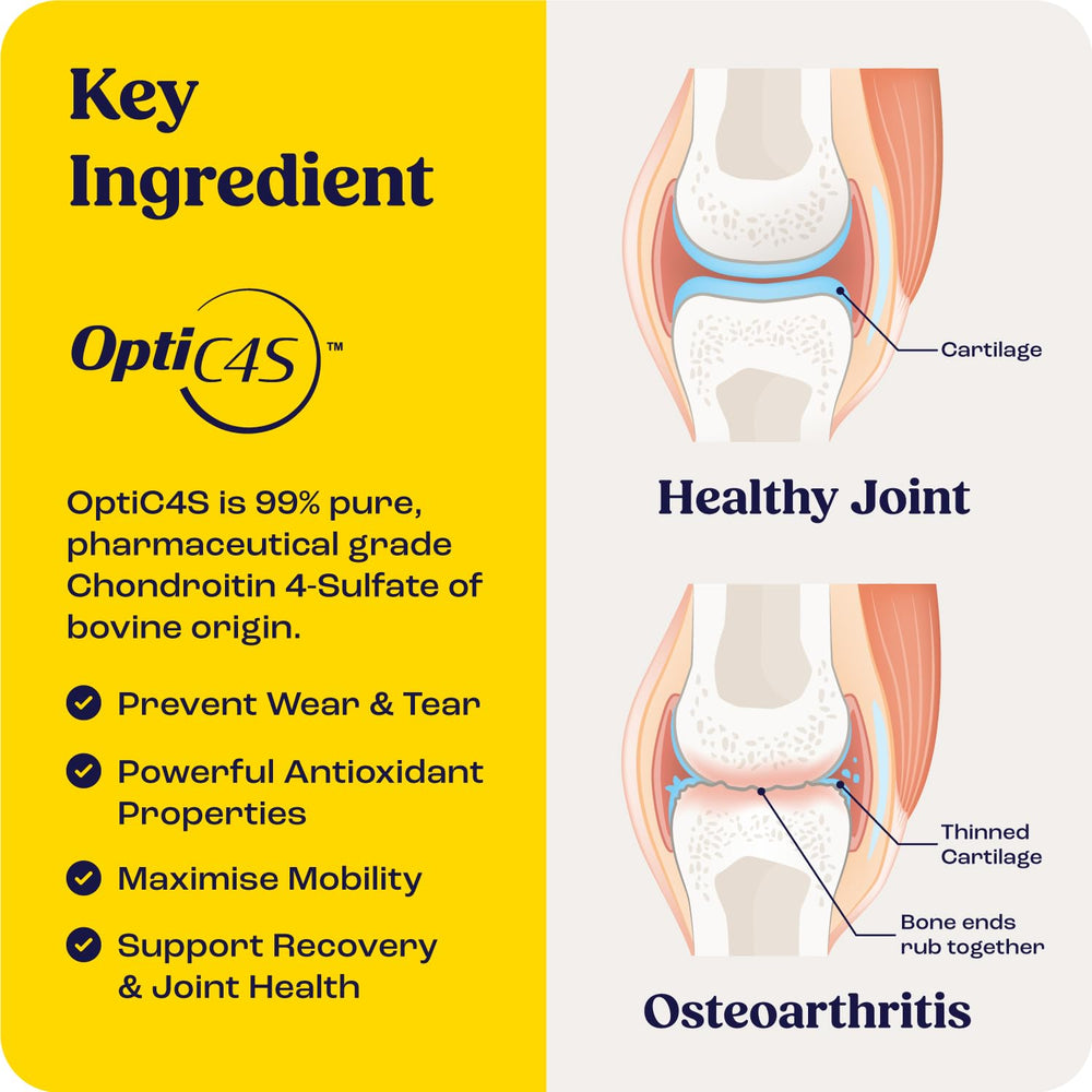 Summit Equine Joint & Mobility Bites packaging hero highlighting liposomal delivery.