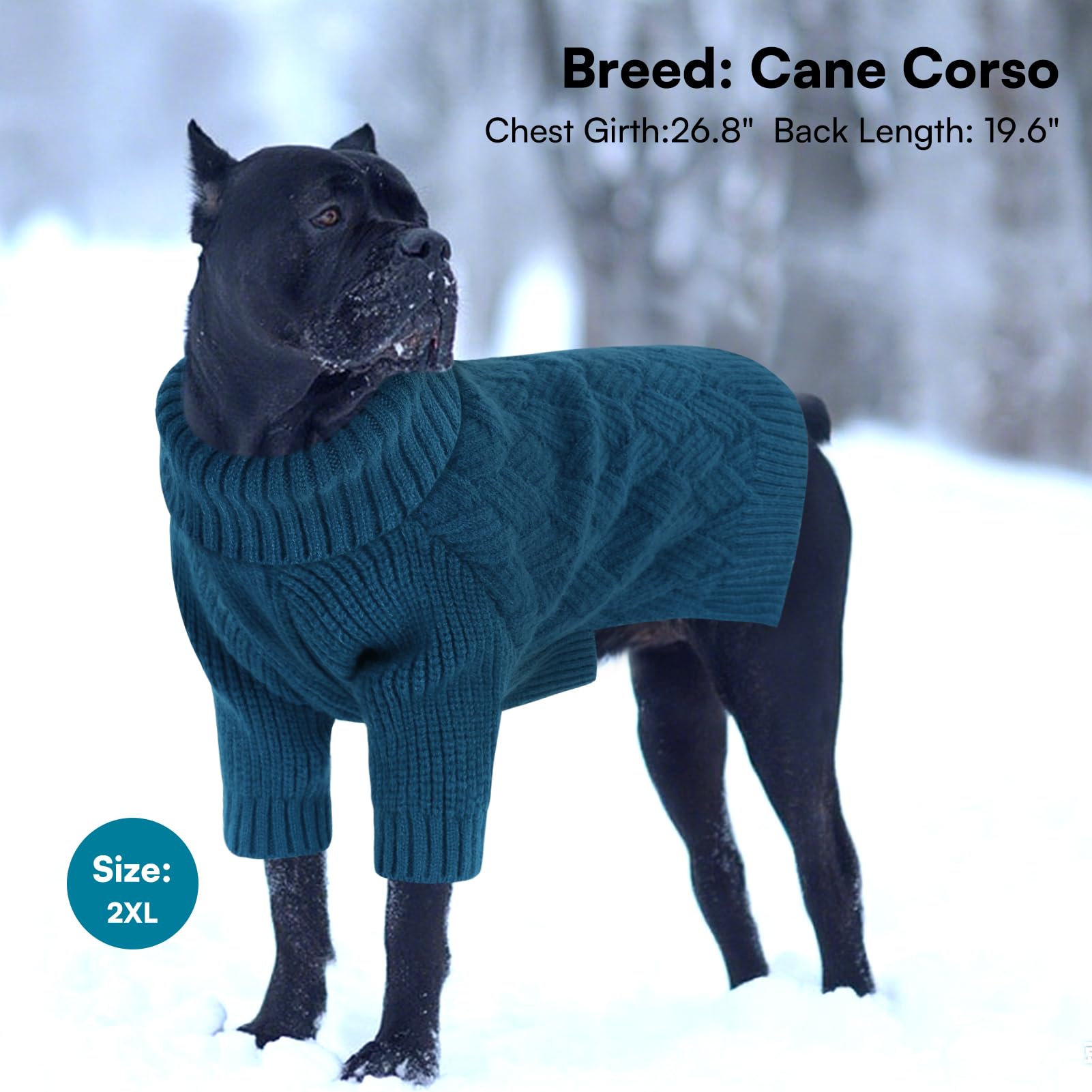 SUNFURA blue XXL dog sweater on a dog during holiday wear