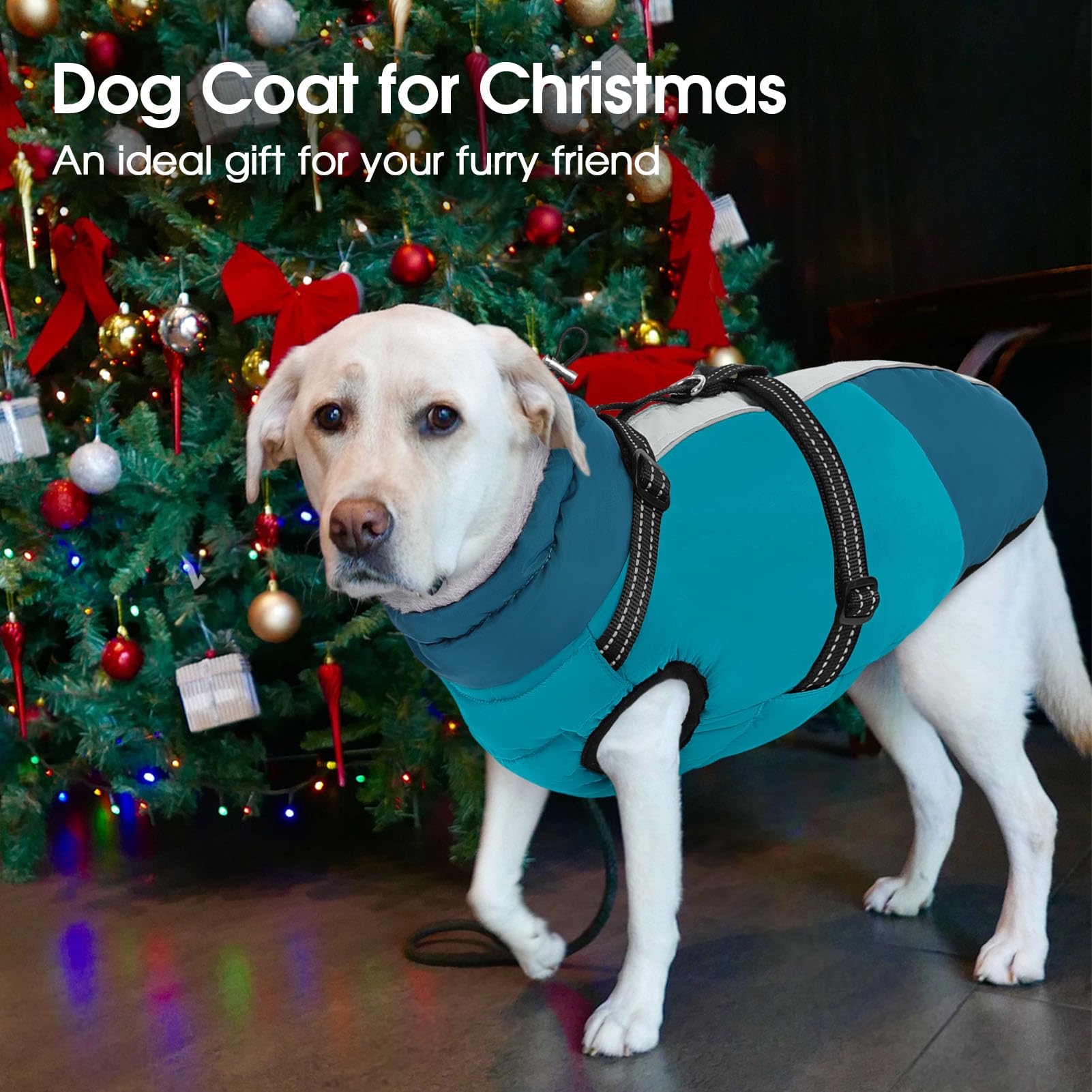 Sunfura built-in D-ring leash attachment simplifies leash setup.