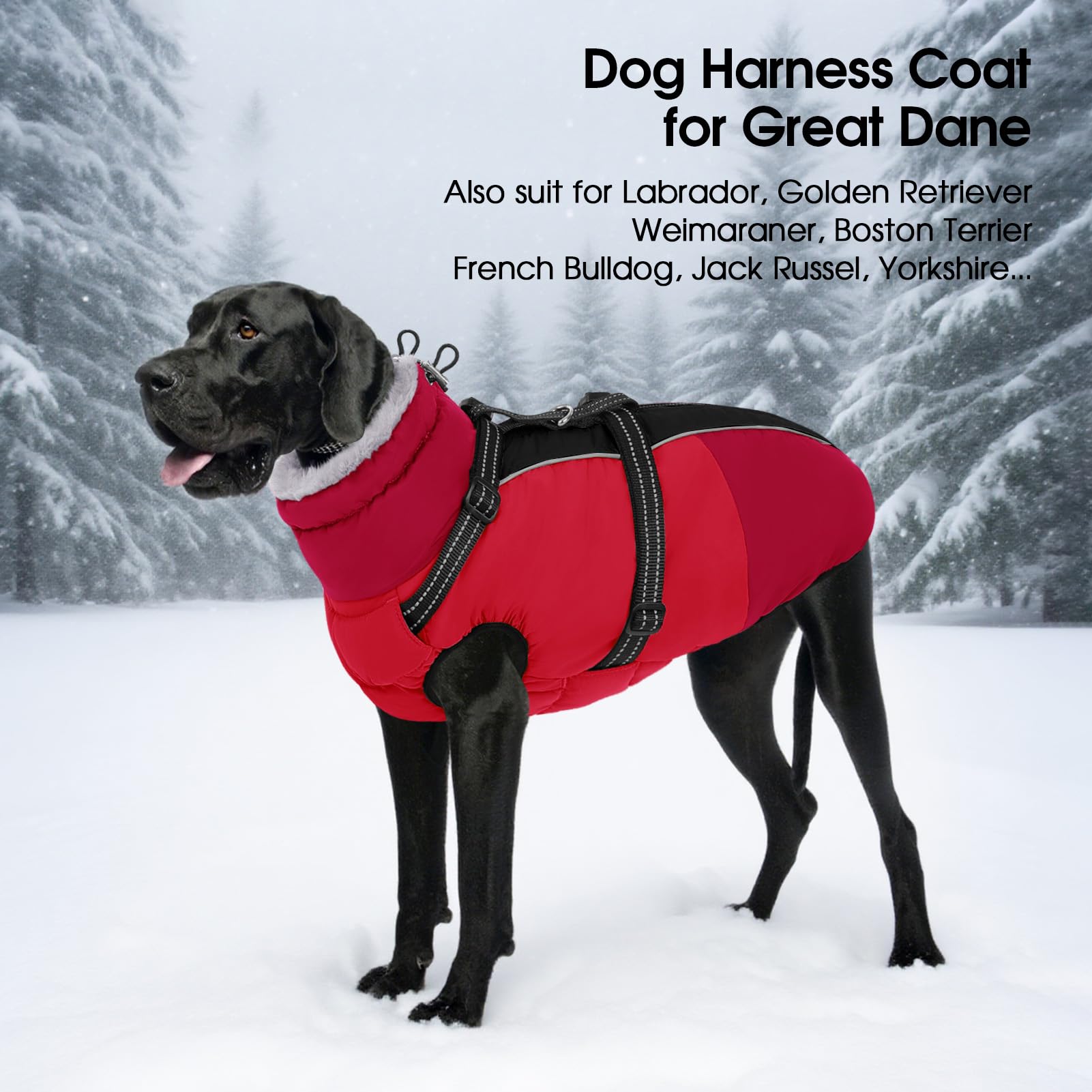 SUNFURA durable D-ring leash attachment for secure leash connection