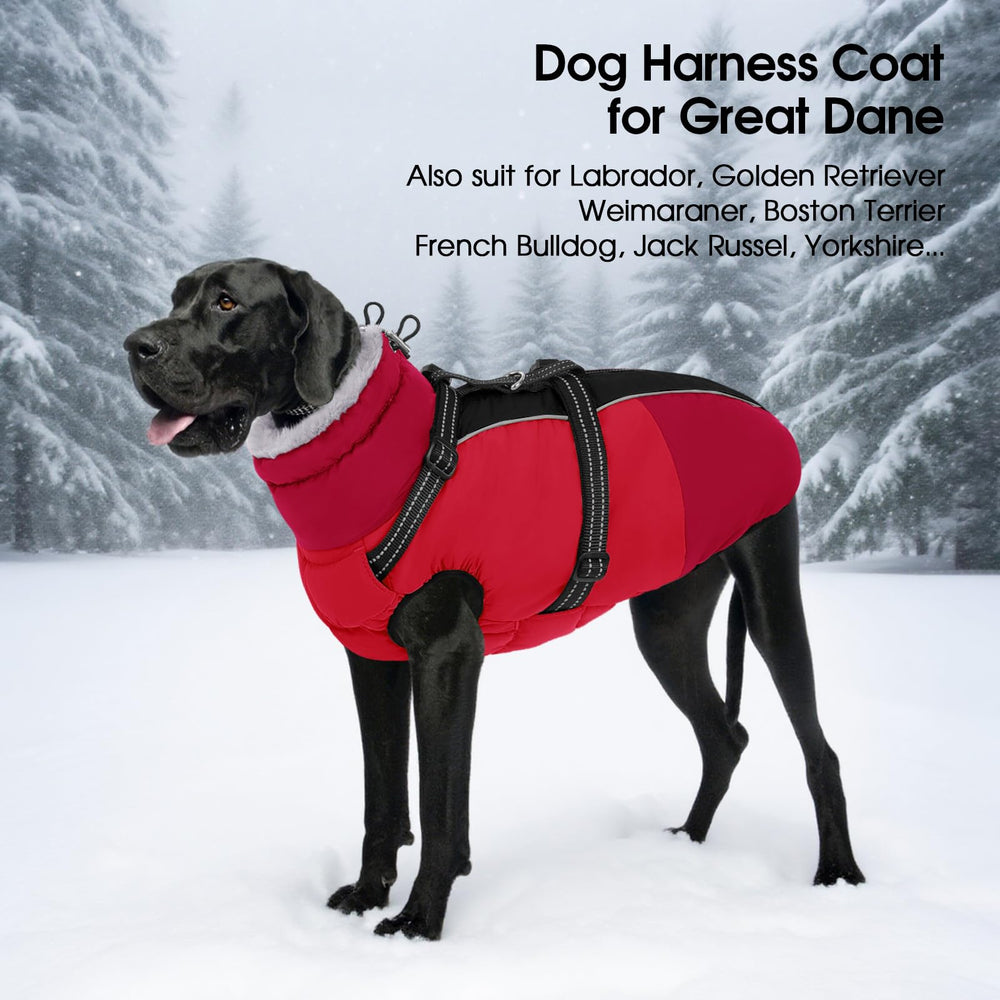 SUNFURA durable D-ring leash attachment for secure leash connection