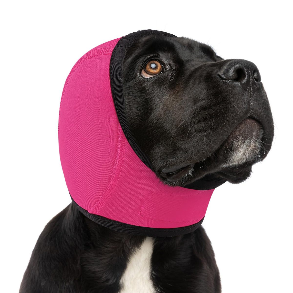 SUNFURA dog calming hoodie front view with adjustable fit for anxious dogs.