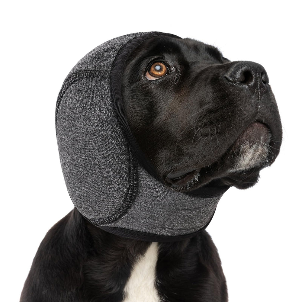 SUNFURA Dog Calming Hoodie worn by a dog model for soothing calm during stress.