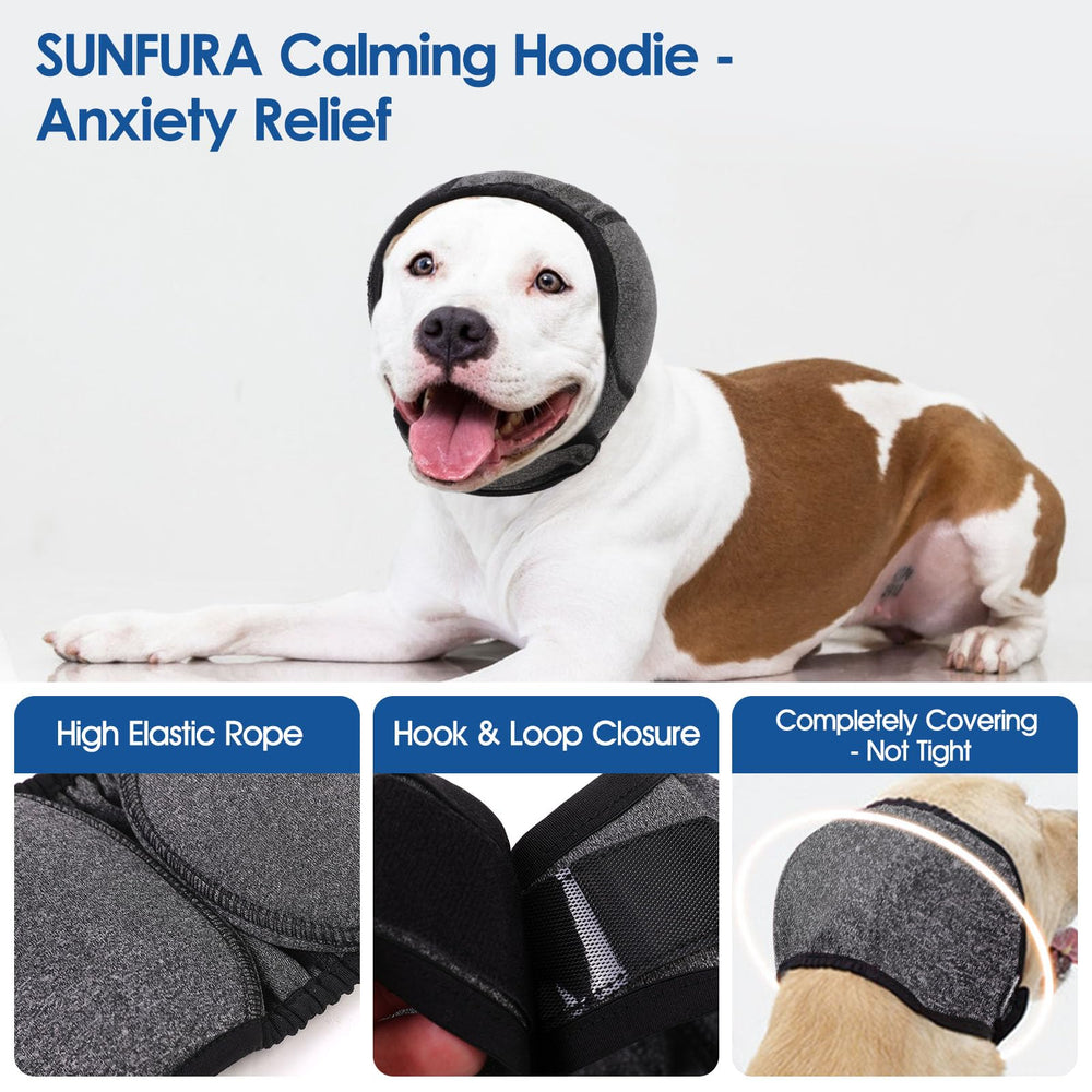 SUNFURA Dog Calming Hoodie on a chilly walk, keeping ears and neck warm.