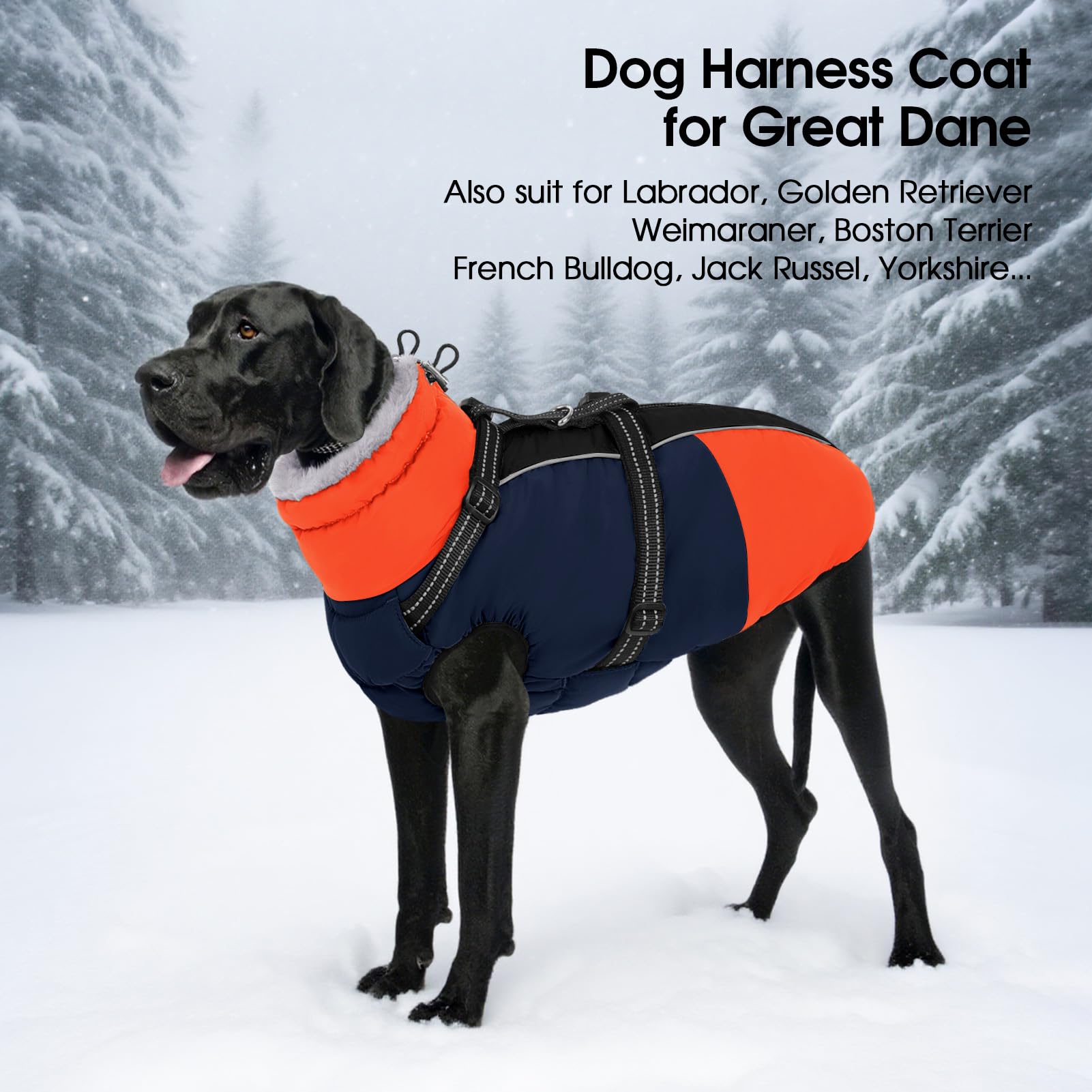 SUNFURA blue XXXL coat ideal for large breeds like Great Danes
