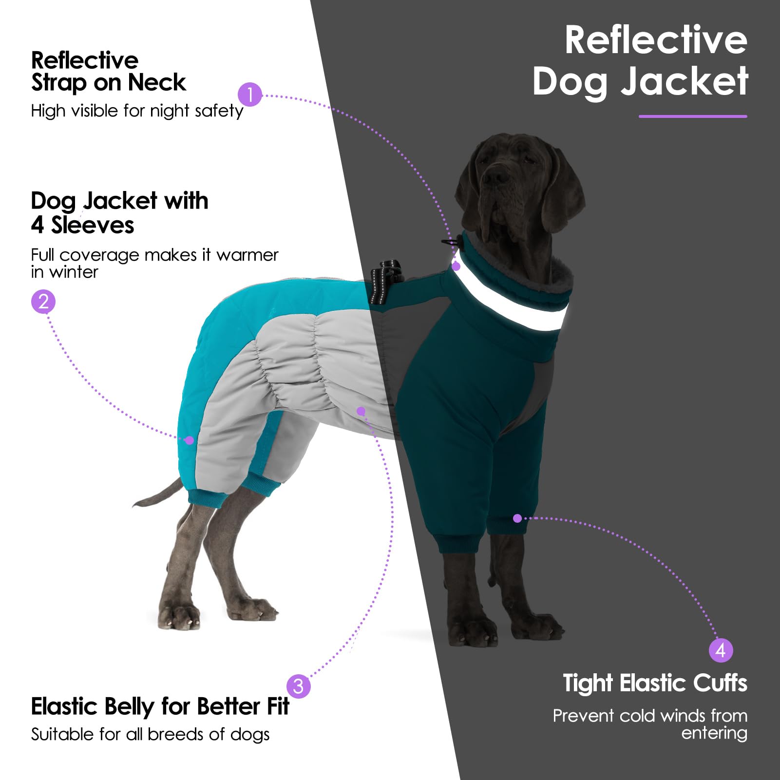 SUNFURA harness-compatible design ensures secure, comfortable fit for active dogs
