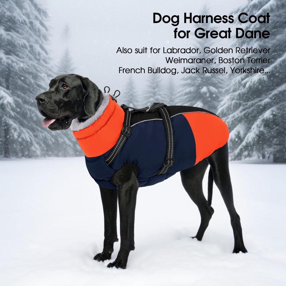 SUNFURA dog coat large-breed friendly fits Boston Terrier and French Bulldog securely.