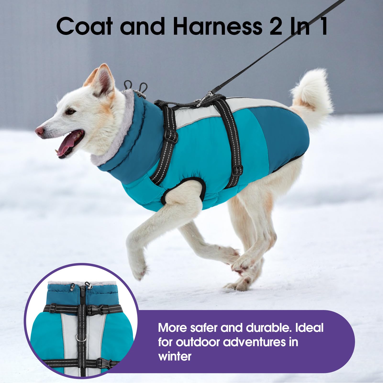 Sunfura zip-up dog coat offers easy on-off and quick dress.