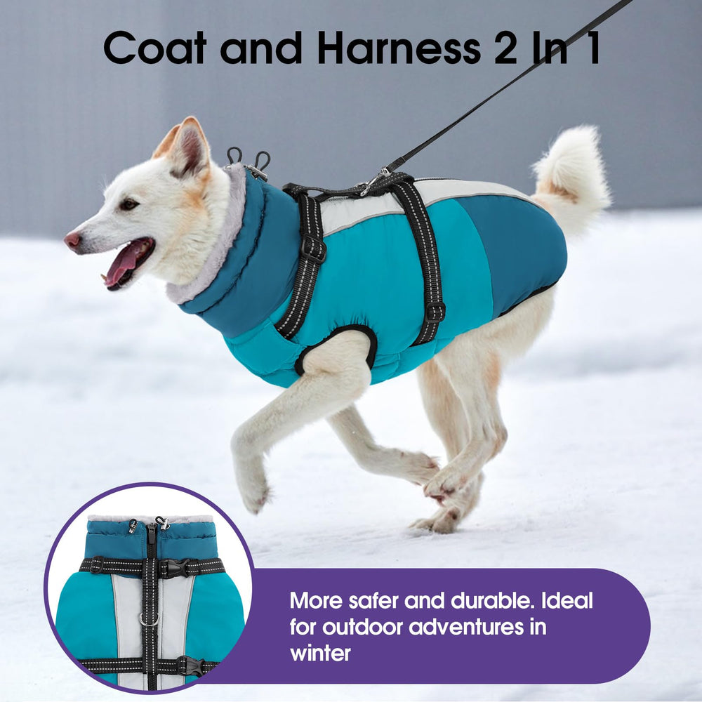 Sunfura zip-up dog coat offers easy on-off and quick dress.