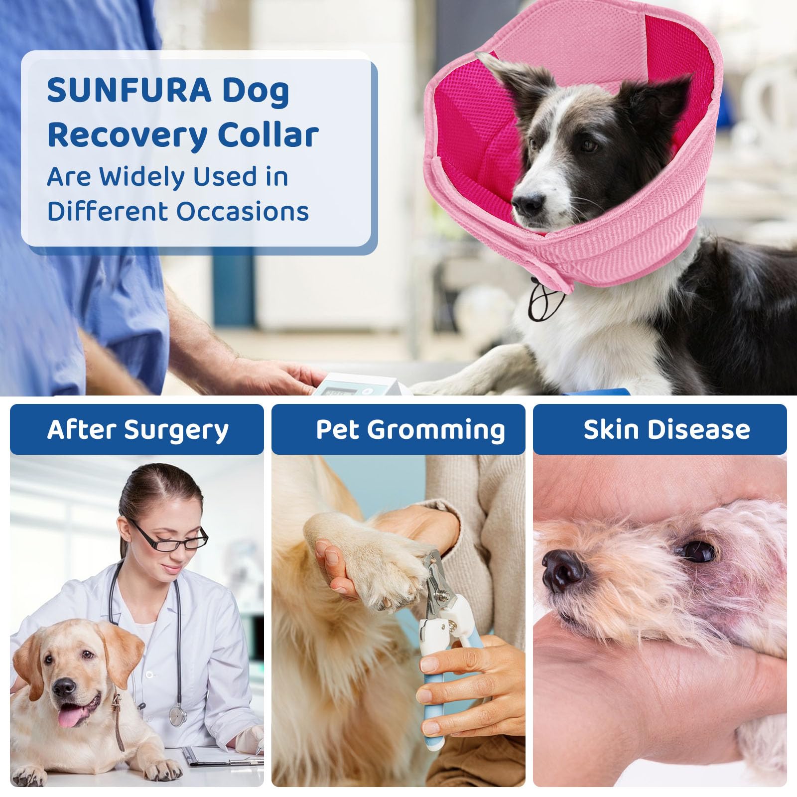 SUNFURA dog cone in-use helps prevent licking after surgery.