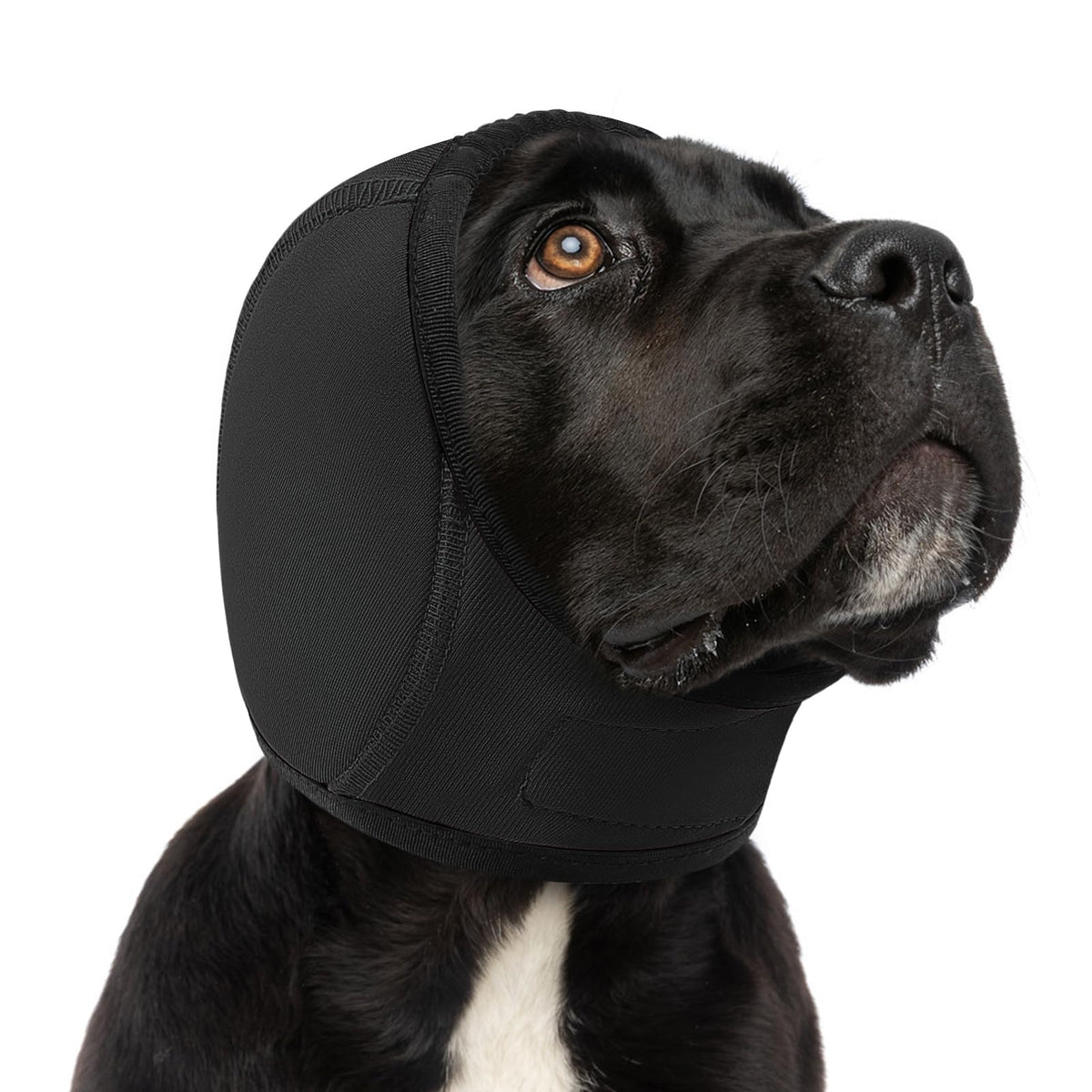 SUNFURA dog ear covers on soft fabric for breathable noise protection during storms.
