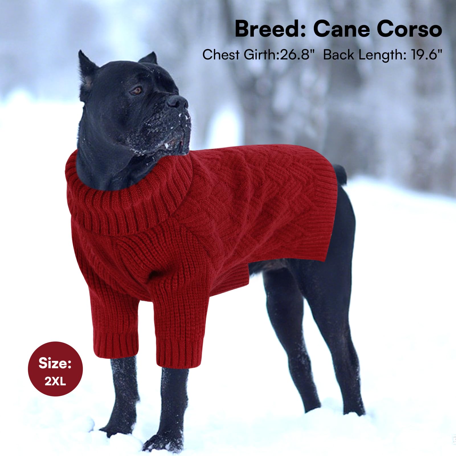 SUNFURA versatile dog pullover for holidays and daily wear