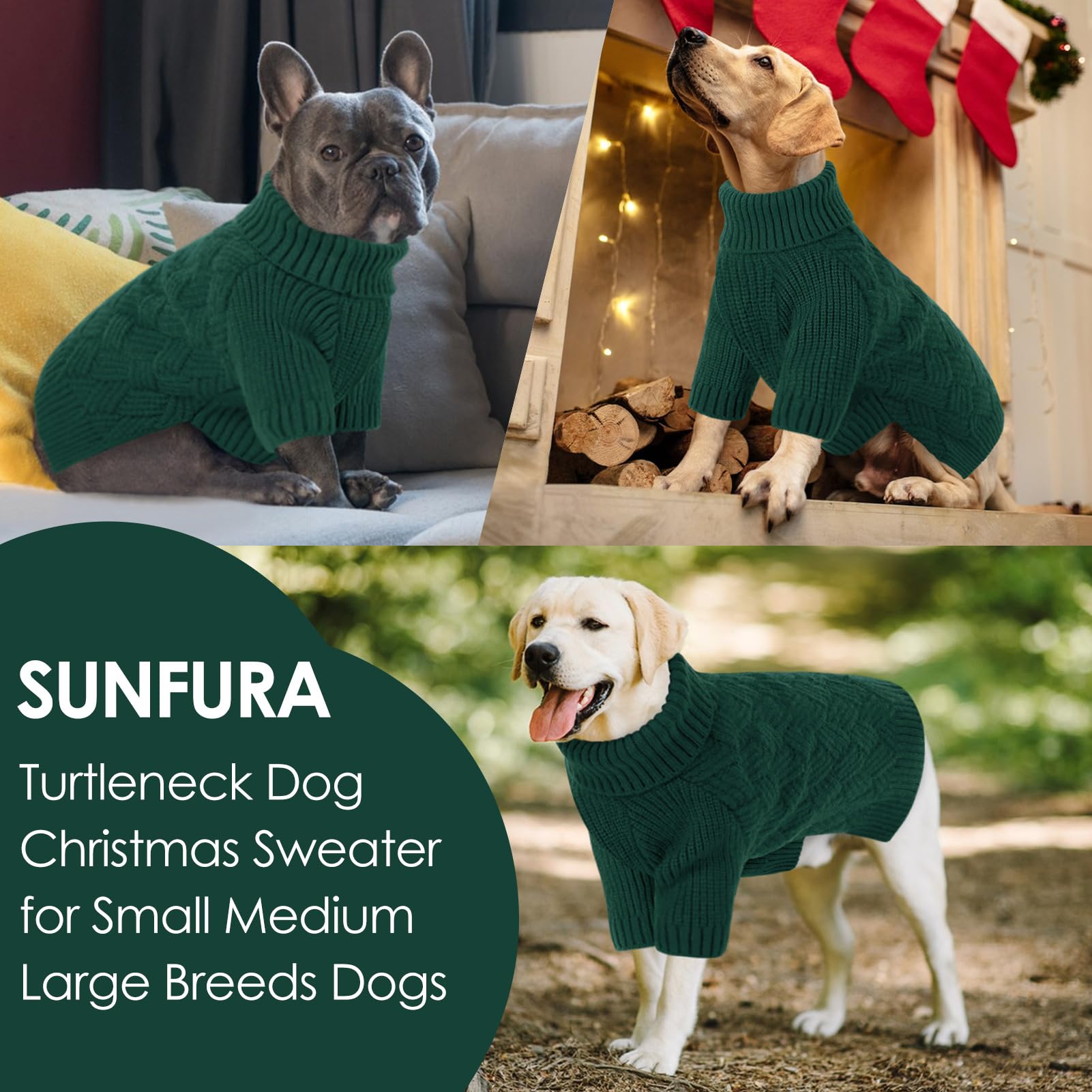 SUNFURA XL-breed walk shows large dogs wearing winter knitwear