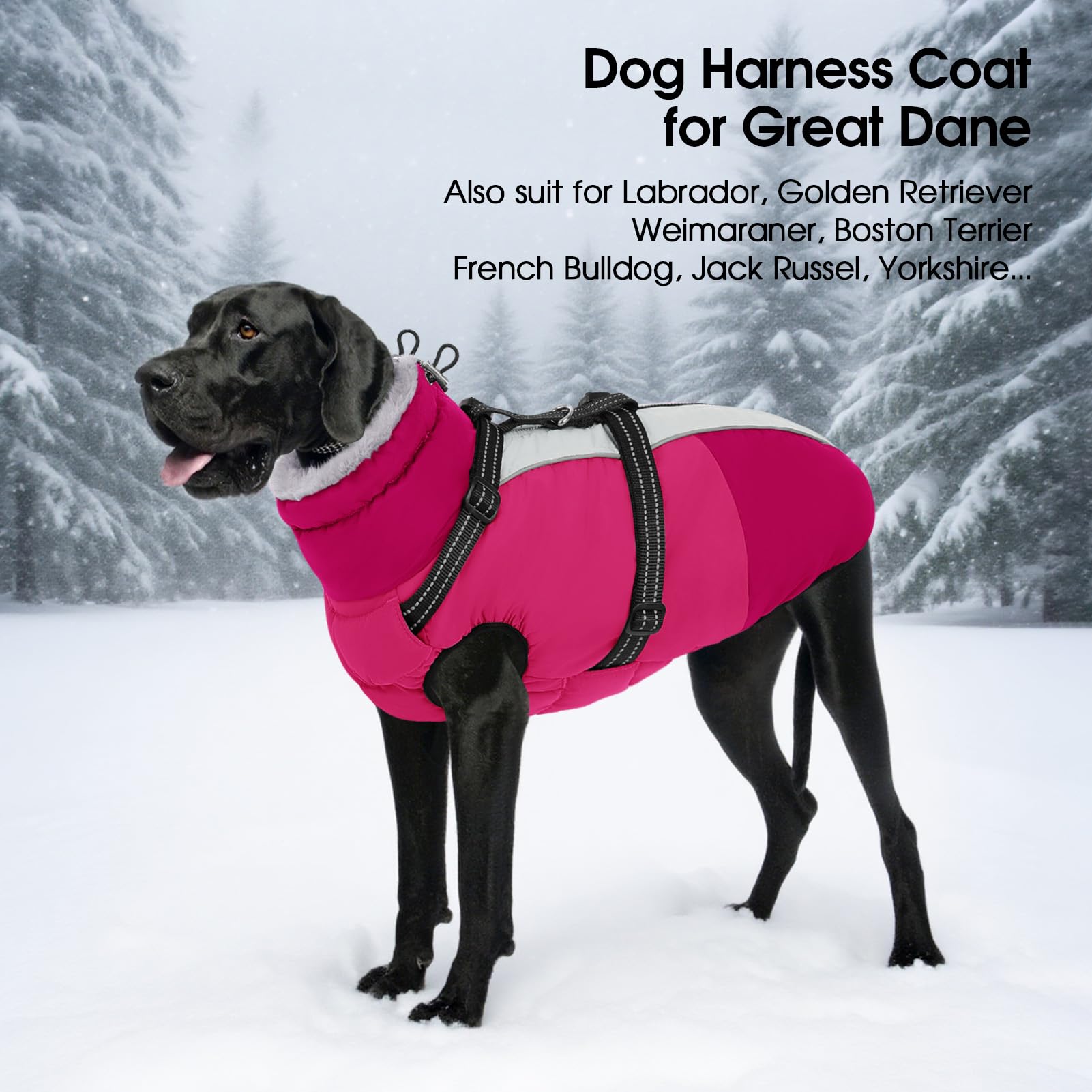 Sunfura dog winter coat breed-coverage offers cozy protection for Jack Russell and Schnauzer