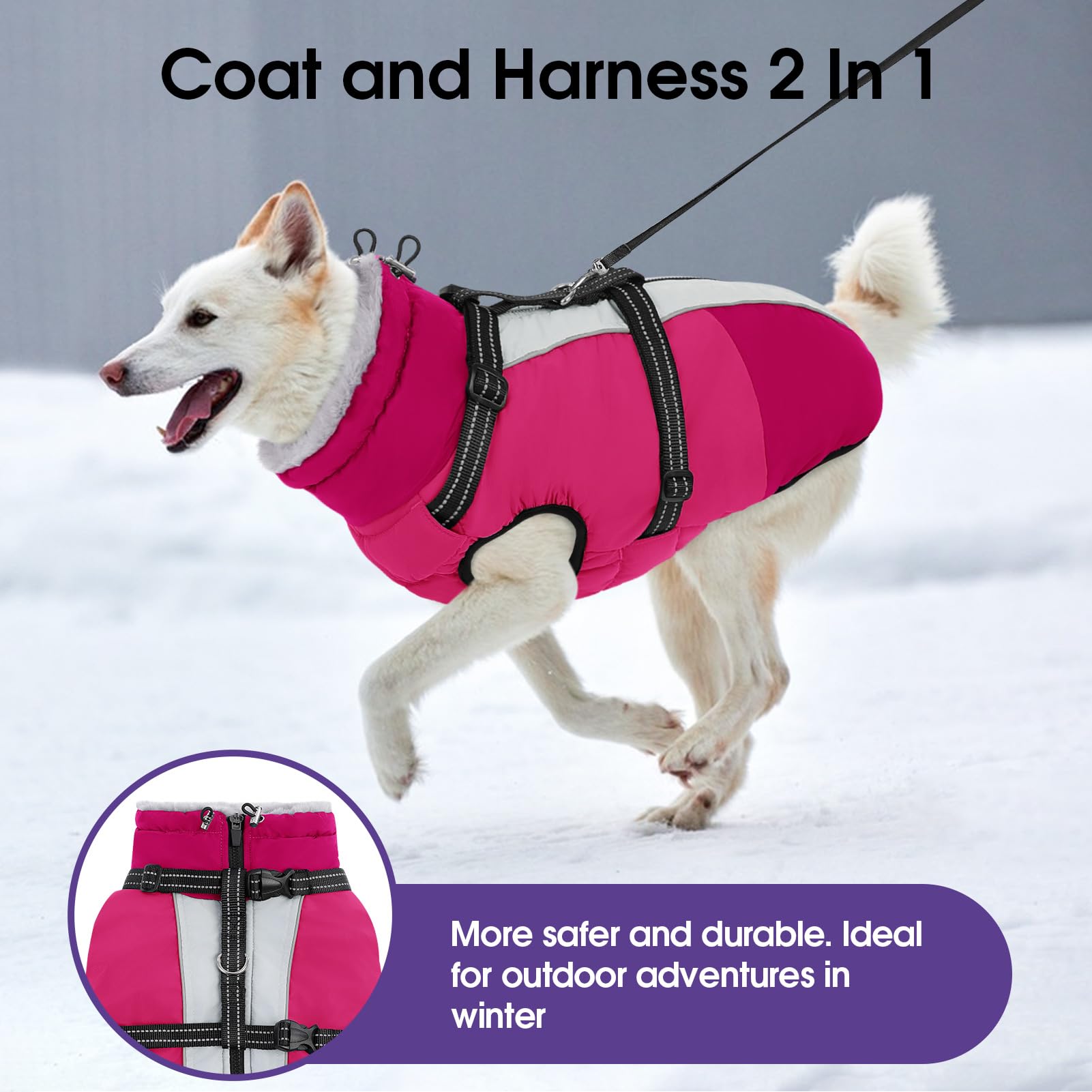 Sunfura dog winter coat zip-close for easy on off and weather protection