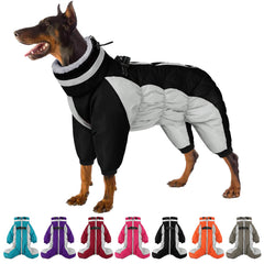 SUNFURA full-body coat on a large dog delivering winter warmth during walks