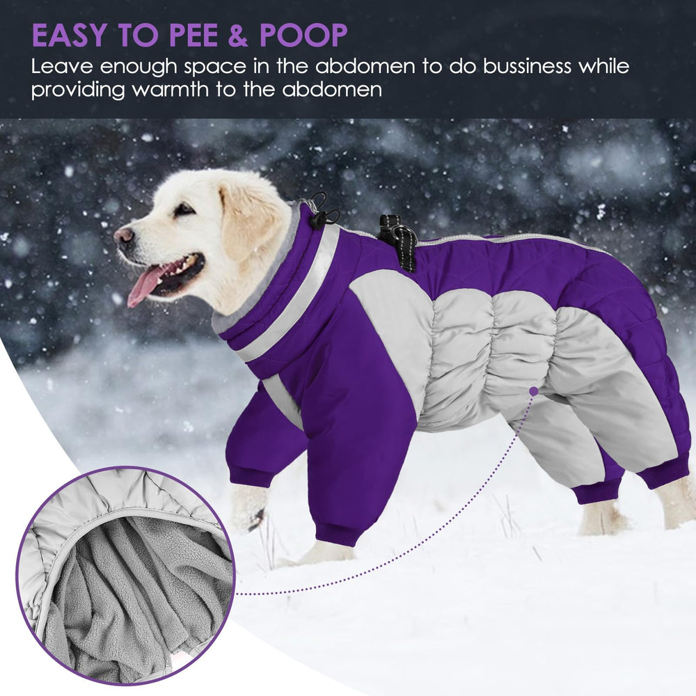 SUNFURA purple 3XL Dane snowsuit helps keep big dogs comfortable outdoors