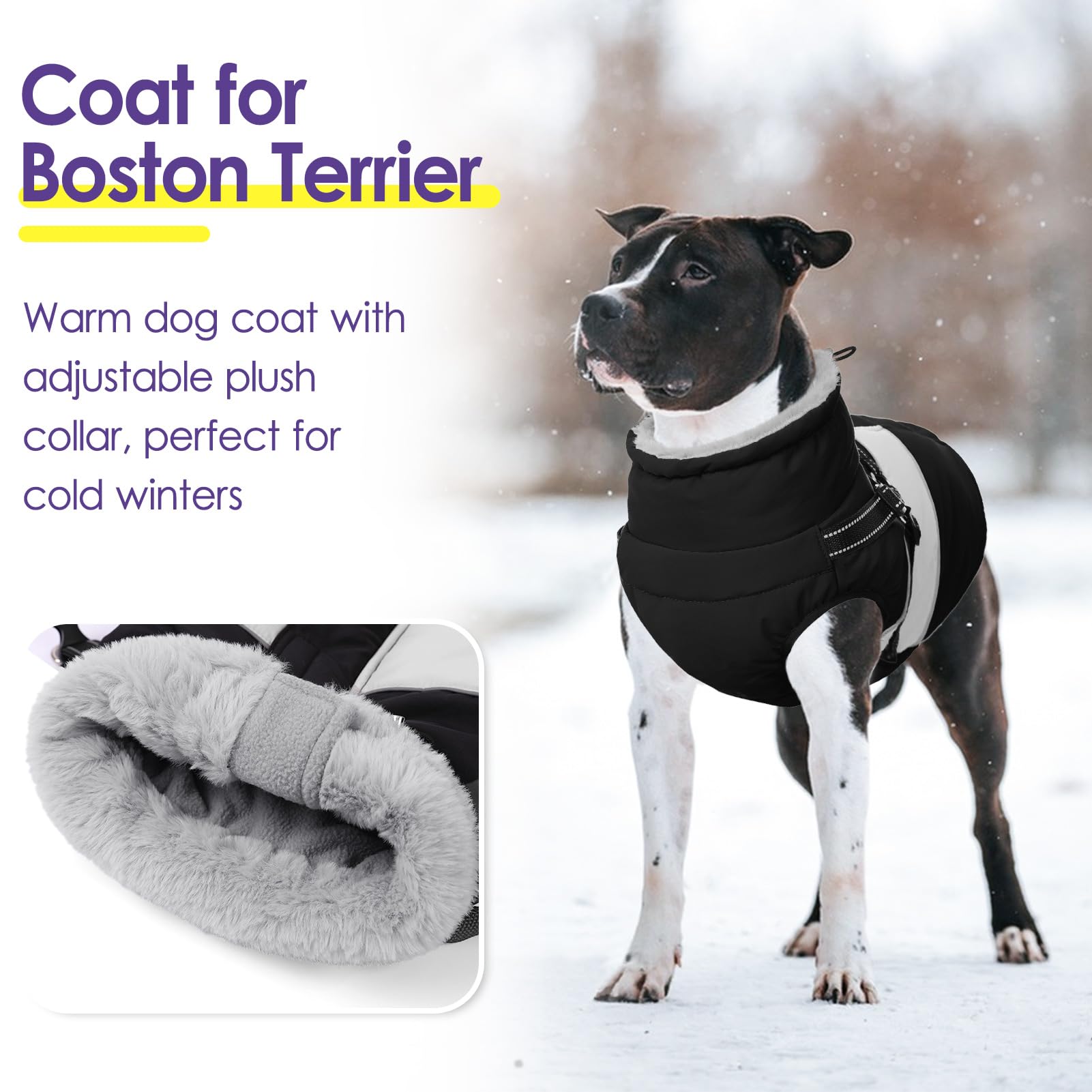 SUNFURA waterproof dog jacket showing warmth lining for chilly days