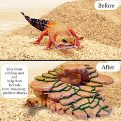 SunGrow Gecko Rock Hide Ramp Detail — resin climbing ramp for enrichment